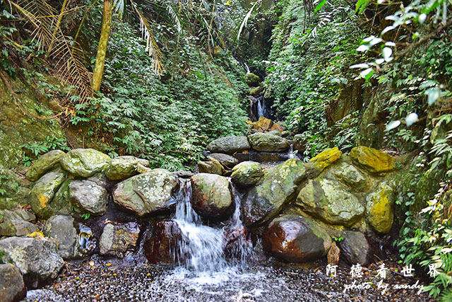 惠蓀林場1217D810 112.JPG 惠蓀林場1217D810 112.JPG