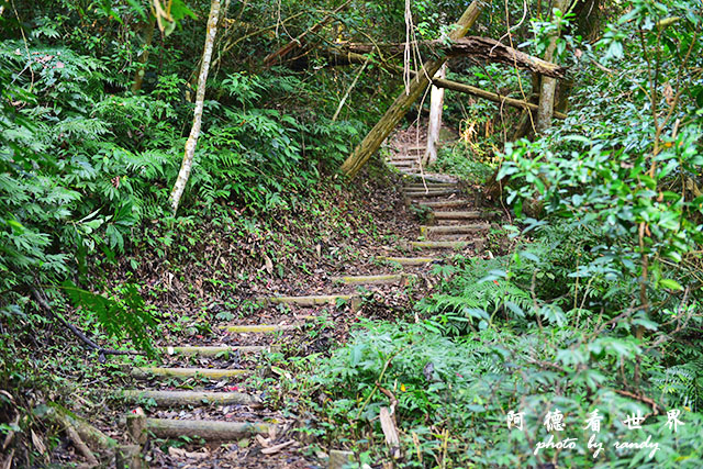 惠蓀林場1217D810 102.JPG 惠蓀林場1217D810 102.JPG