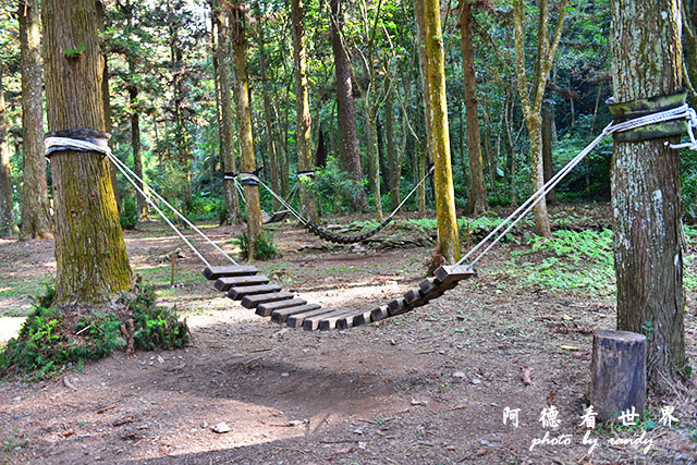 惠蓀林場1217D810 122.JPG 惠蓀林場1217D810 122.JPG