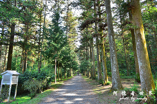 惠蓀林場1217D810 123.JPG 惠蓀林場1217D810 123.JPG