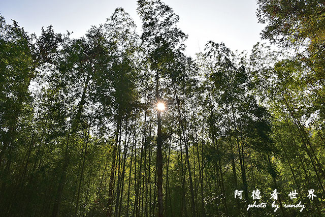 惠蓀林場1217D810 173.JPG 惠蓀林場1217D810 173.JPG