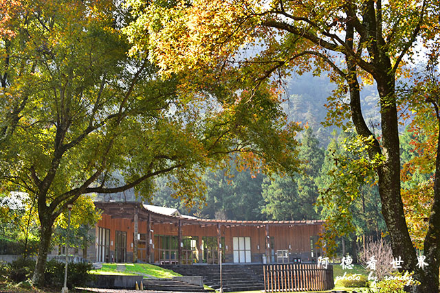 惠蓀林場1217D810 160.JPG 惠蓀林場1217D810 160.JPG