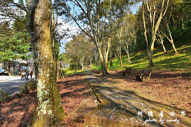 惠蓀林場1217D810 178.JPG 惠蓀林場1217D810 178.JPG