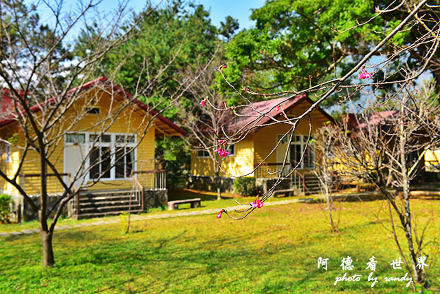 惠蓀林場1217D810 190.JPG 惠蓀林場1217D810 190.JPG