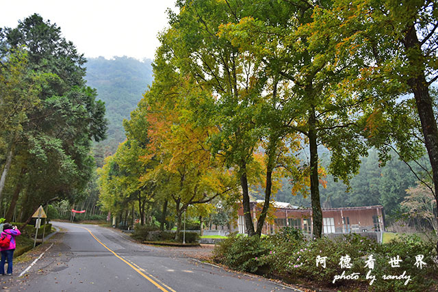 惠蓀林場151216D810 091.JPG 惠蓀林場151216D810 091.JPG