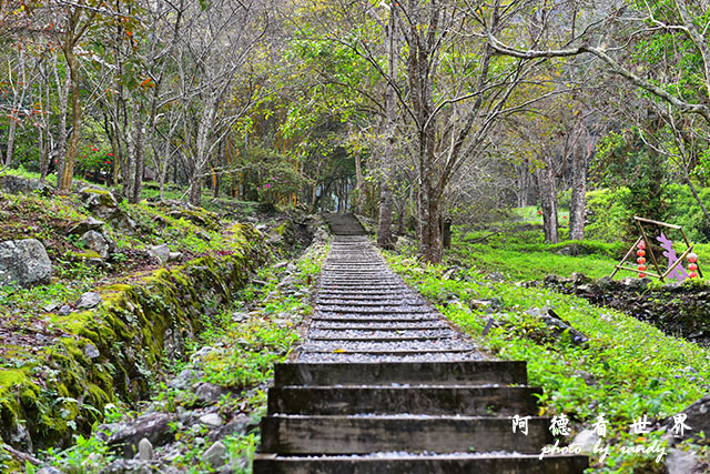 八仙山D810 039.JPG 八仙山D810 039.JPG