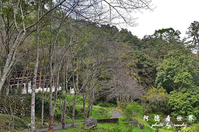 八仙山D810 051.JPG 八仙山D810 051.JPG