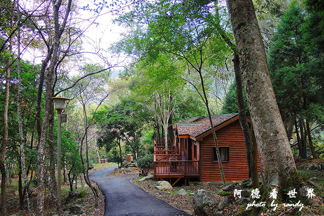 墾丁惠蓀八仙 (109).JPG 墾丁惠蓀八仙 (109).JPG