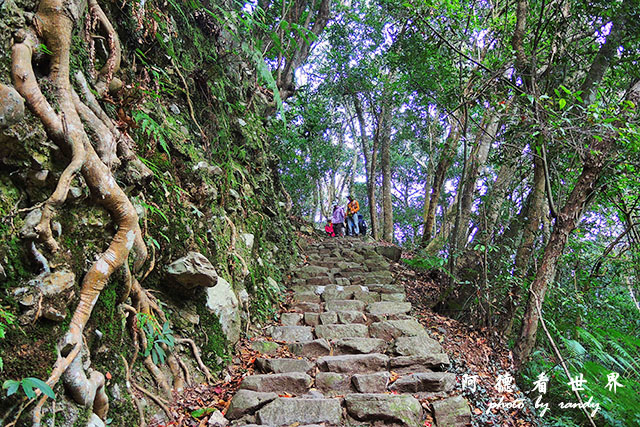 墾丁惠蓀八仙 (124).JPG 墾丁惠蓀八仙 (124).JPG