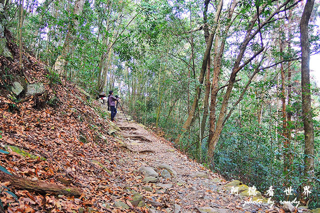 墾丁惠蓀八仙 (128).JPG 墾丁惠蓀八仙 (128).JPG