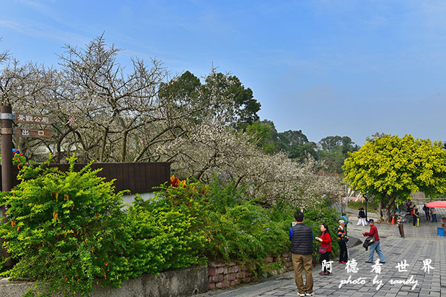 梅山公園D810 021.JPG