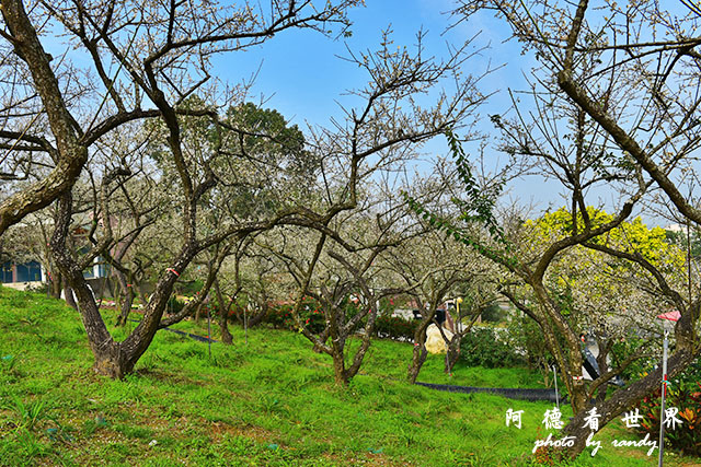 梅山公園D810 029.JPG