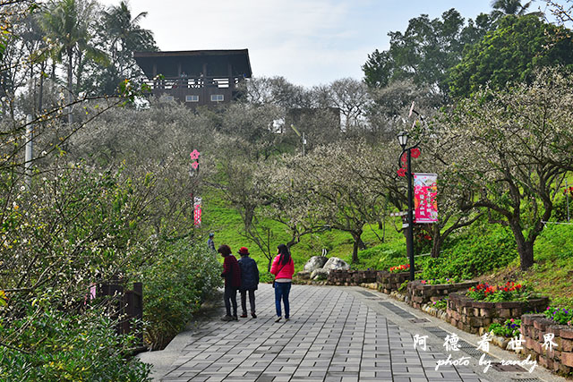 梅山公園D810 042.JPG