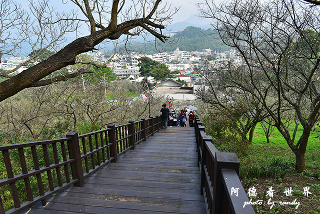 梅山公園D810 061.JPG