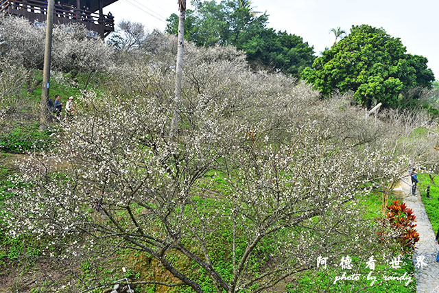 梅山公園D810 070.JPG