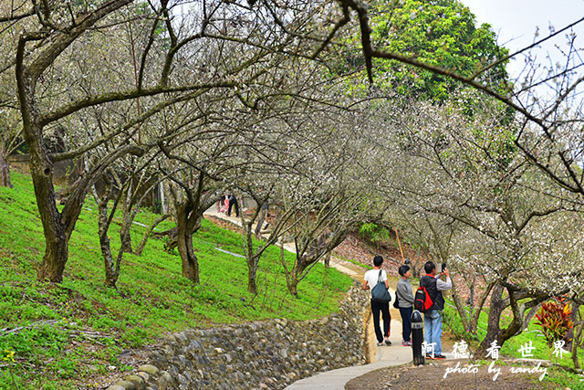 梅山公園D810 084.JPG