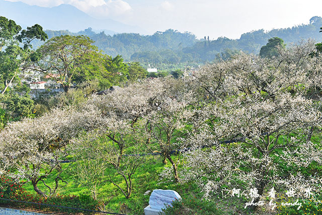 梅山公園D810 197.JPG