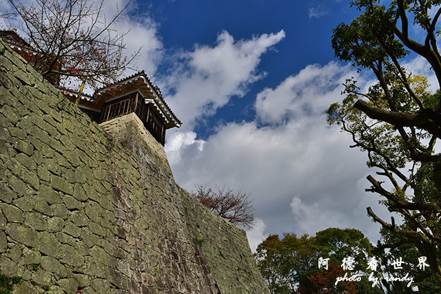 松山-大洲D810 033.JPG