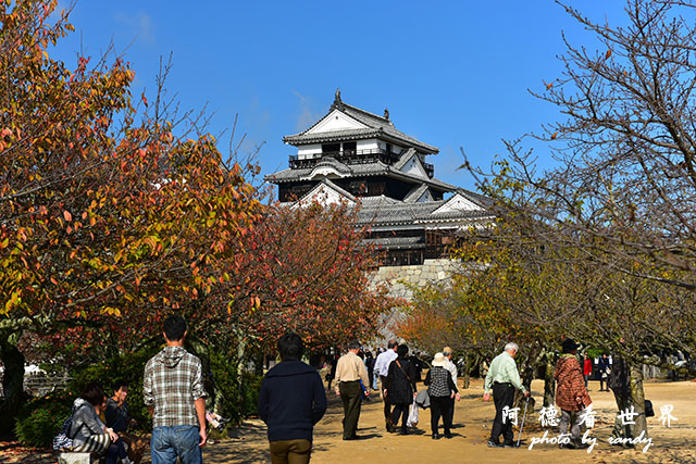 松山-大洲D810 096.JPG