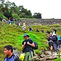 machupicchuD7 310.JPG