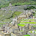 machupicchuD7 467.JPG