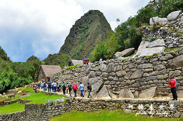 machupicchuD7 492.JPG