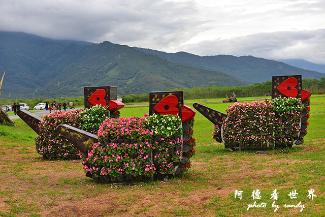 大農大富20160204D810 020.JPG