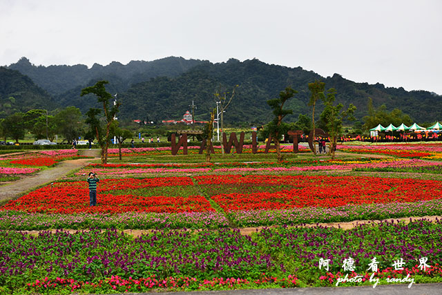 大農大富20160204D810 024.JPG