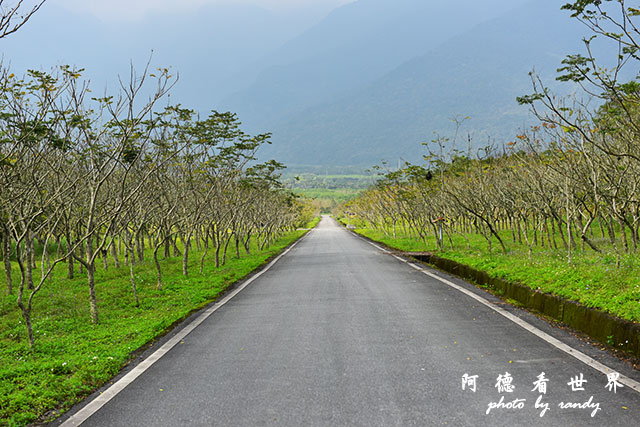 大農大富20160207D810 007.JPG