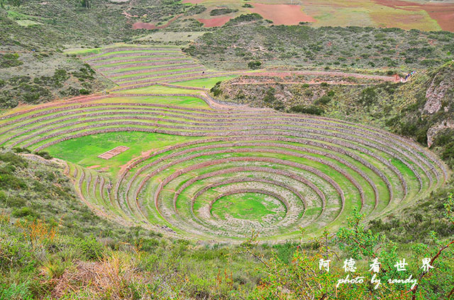 moray-marasD7 011.JPG moray-marasD7 011.JPG