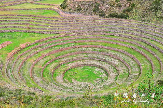 moray-marasD7 012.JPG moray-marasD7 012.JPG