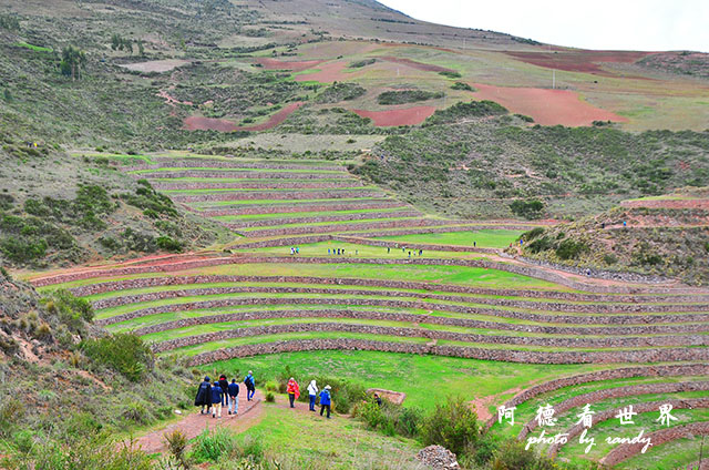 moray-marasD7 022.JPG moray-marasD7 022.JPG