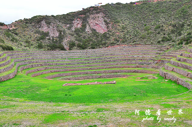 moray-marasD7 027.JPG moray-marasD7 027.JPG