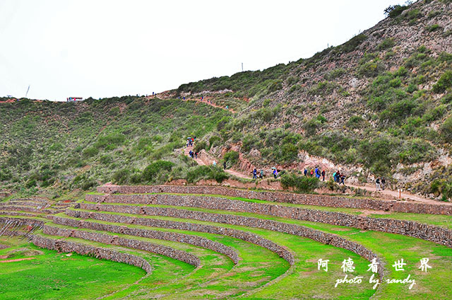 moray-marasD7 034.JPG moray-marasD7 034.JPG