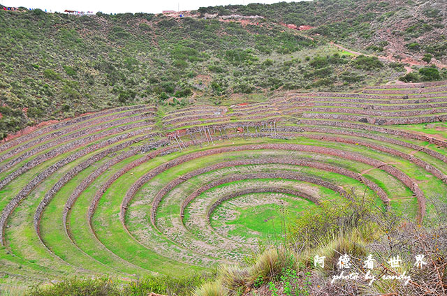 moray-marasD7 045.JPG moray-marasD7 045.JPG