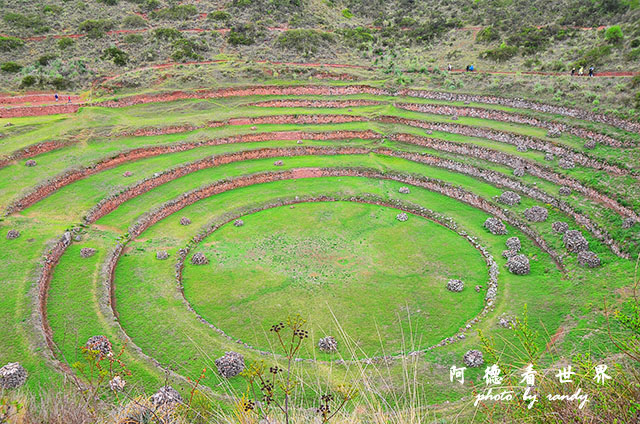 moray-marasD7 050.JPG moray-marasD7 050.JPG