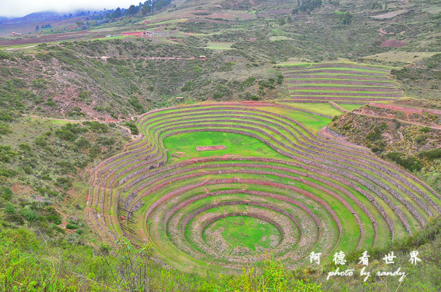 moray-marasD7 067.JPG moray-marasD7 067.JPG