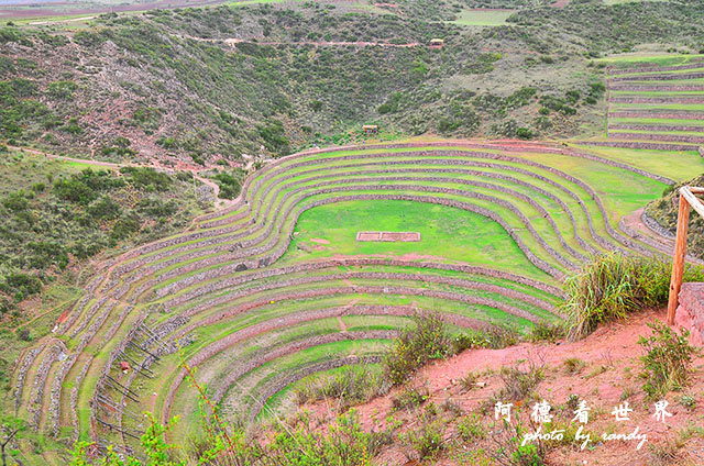 moray-marasD7 065.JPG moray-marasD7 065.JPG