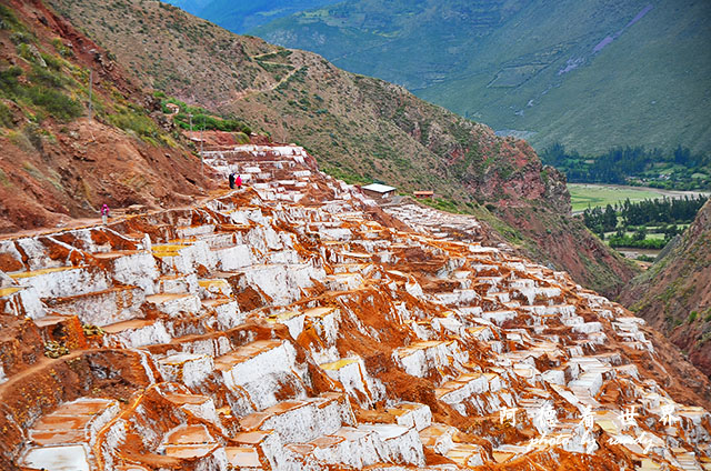 moray-marasD7 080.JPG moray-marasD7 080.JPG