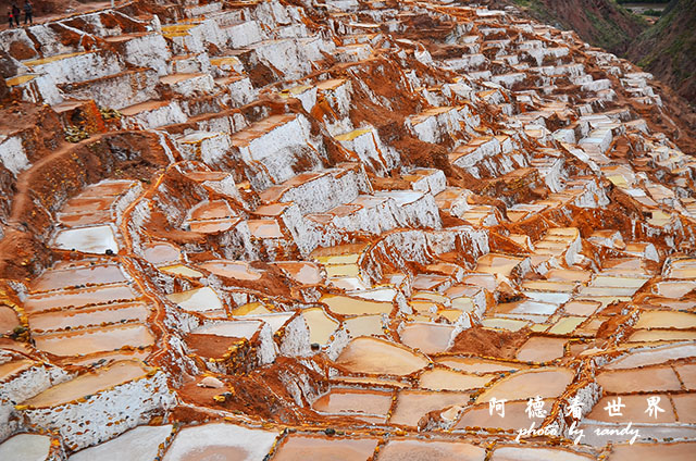 moray-marasD7 079.JPG moray-marasD7 079.JPG