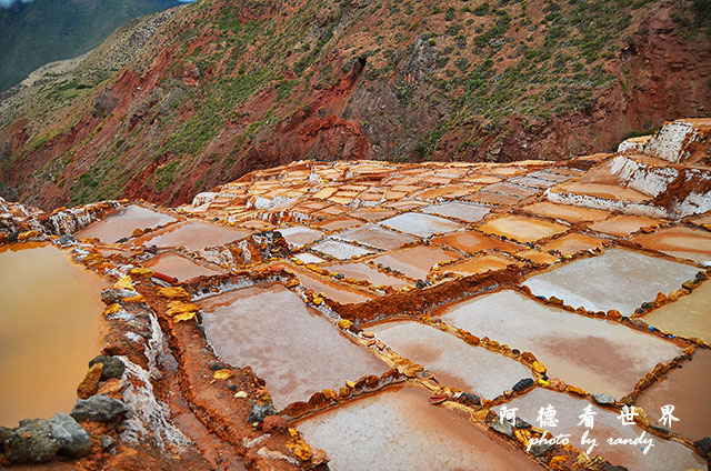 moray-marasD7 085.JPG moray-marasD7 085.JPG