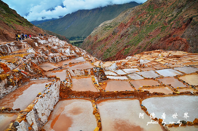 moray-marasD7 095.JPG moray-marasD7 095.JPG