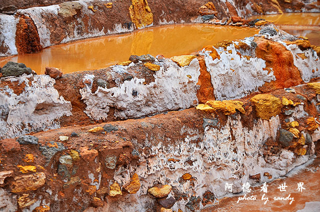 moray-marasD7 100.JPG moray-marasD7 100.JPG