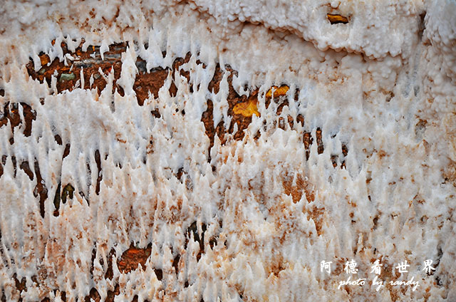 moray-marasD7 103.JPG moray-marasD7 103.JPG