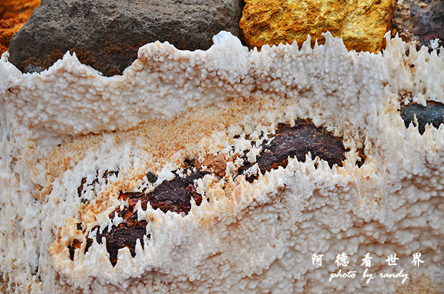 moray-marasD7 104.JPG moray-marasD7 104.JPG