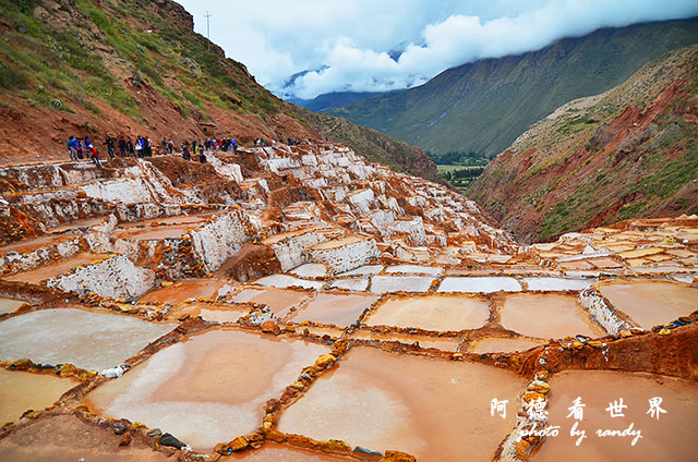 moray-marasD7 110.JPG moray-marasD7 110.JPG