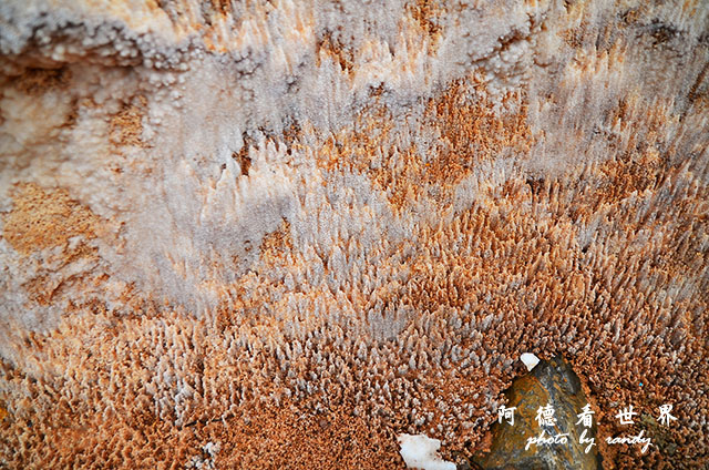 moray-marasD7 107.JPG moray-marasD7 107.JPG