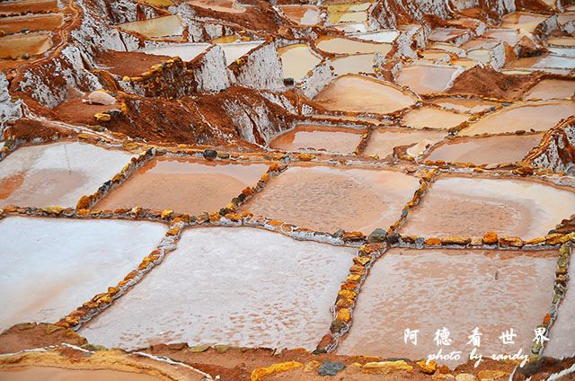 moray-marasD7 112.JPG moray-marasD7 112.JPG