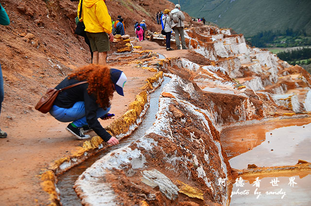 moray-marasD7 124.JPG moray-marasD7 124.JPG