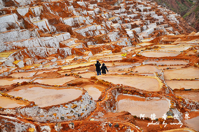 moray-marasD7 121.JPG moray-marasD7 121.JPG